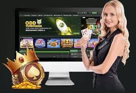 9786 bet 9786 bet